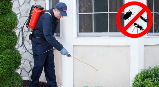 Artuklu Dezenfeksiyon böcek ilaçlama ve haşere kontrolü — ilaclama-tr.com